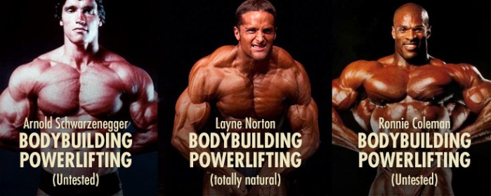 muscle-building-programs-for-skinny-guys-ectomorphs-bodybuilders-powerlifters